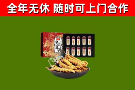 大观区烟酒回收冬虫夏草礼盒.jpg